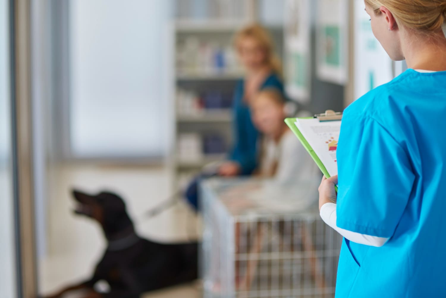 Clínica veterinaria en Almonte