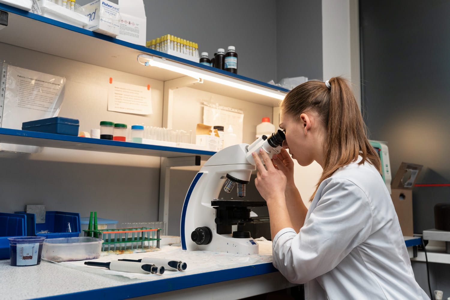 laboratorio